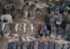 Localizan campamento clandestino del crimen organizado