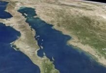 Piden declarar hábitat crítico al Golfo de California