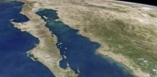 Piden declarar hábitat crítico al Golfo de California
