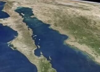 Piden declarar hábitat crítico al Golfo de California
