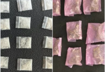 Con apoyo de binomios caninos detienen a dos sujetos con droga