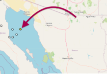 Tembló en Puerto Peñasco, la madrugada de hoy