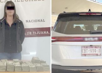 Ingresaba a México con 176 mil dólares en efectivo