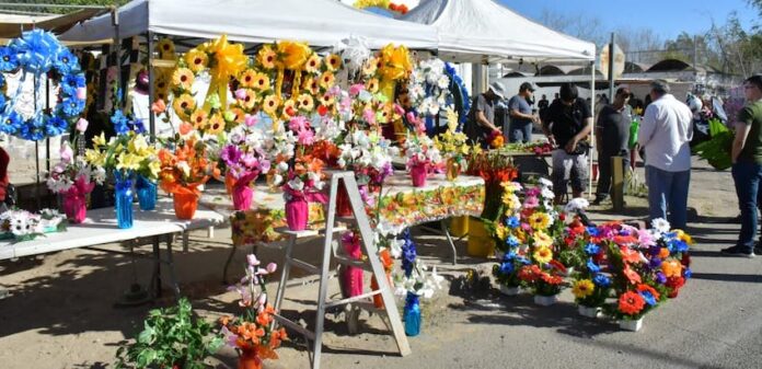 Reitera llamado Ayuntamiento de Hermosillo a vendedores y emprendedores a tramitar permisos para Día de Muertos; quedan espacios disponibles que pueden tramitarse hasta el 30 de octubre.
