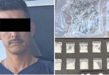 Encuentran droga en empresa de paquetería