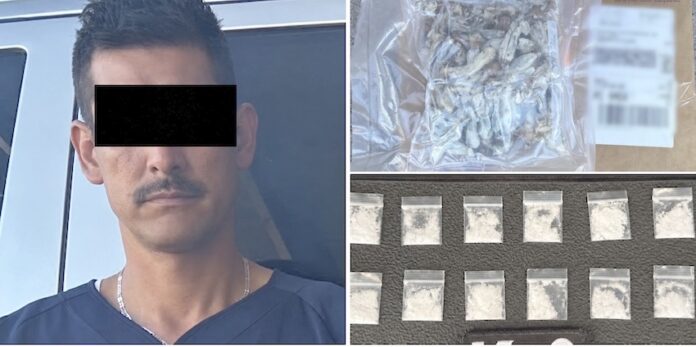 Encuentran droga en empresa de paquetería; además, en acción por separado, un sujeto es detenido en posesión de varias dosis.
