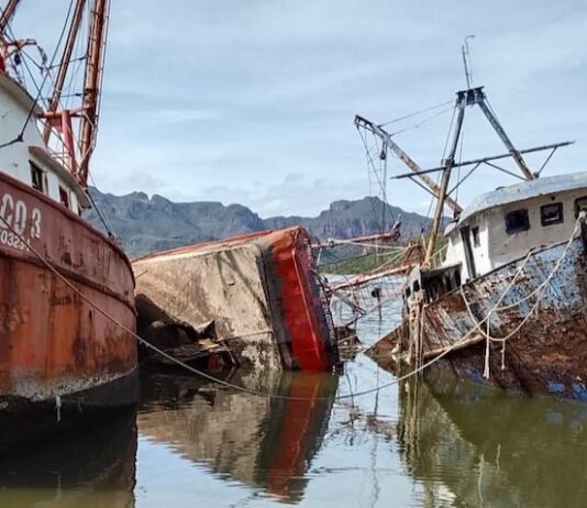 Diezmada flota inicia temporada camaronera este miércoles