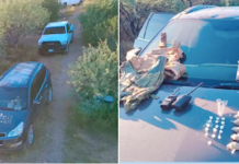 Confiscan droga y equipo táctico; reportan un detenido