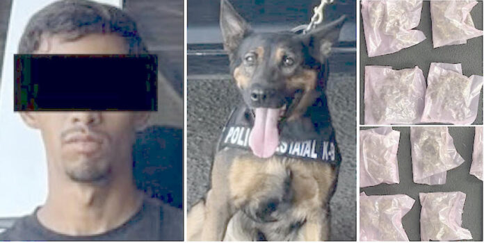 Detienen a joven en posesión de droga; agentes de seguridad dispusieron del apoyo de un binomio canino.