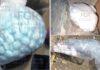 Aseguran pastillas con fentanilo, además de cocaína y metanfetamina