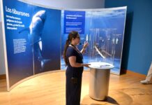 Continúa exposición TIBURONES disponible para familias hermosillenses y visitantes