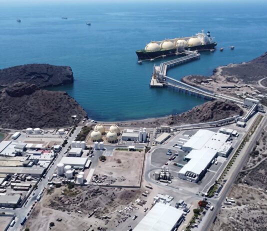 Base de la expansión portuaria, el proyecto de Amigo LNG