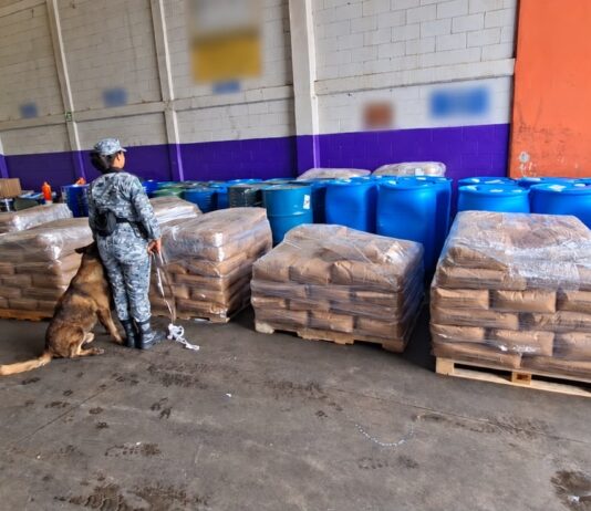 Aseguran más precursores químicos en una empresa de mensajería y paquetería