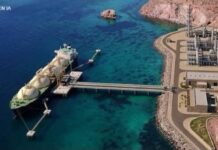 Orden judicial deja sin efecto autorización ambiengal de Proyecto Amigo LNG