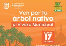Invita Ayuntamiento de Hermosillo a adoptar árboles nativos en el Vivero Municipal
