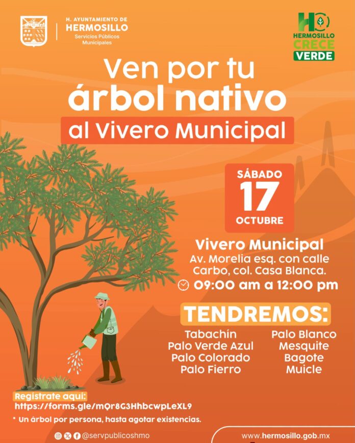 Invita Ayuntamiento de Hermosillo a adoptar árboles nativos en el Vivero Municipal; este sábado 17 de octubre, de 9:00 a 12:00 horas, en el Vivero Municipal, donde se entregarán ejemplares de ocho especies nativas y regionales para fomentar una ciudad más verde.