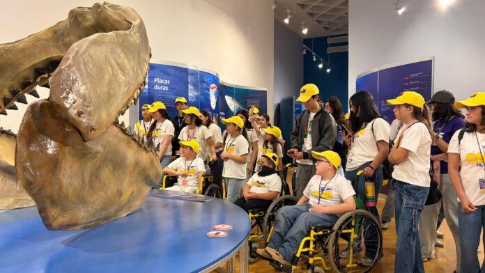 Viven niñas y niños del Club Teletón la experiencia “TIBURONES” que suma más de 15 mil visitantes; la exposición internacional continuará abierta hasta el 31 de diciembre en el Centro Cultural Musas.