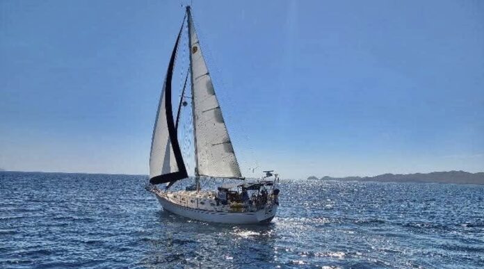 Regresa velero que había sido reportadocomo extraviado en el Mar de Cortés; con su tripulante a salvo y sin daños mayores en la embarcación.