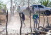 Refuerzan acciones contra el dengue en Bahía de Lobos