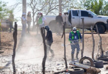 Refuerzan acciones contra el dengue en Bahía de Lobos